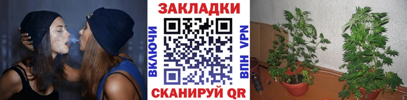 Хочу наркоту Железногорск ссылка на мегу ссылка  A-PVP  Меф мяу мяу  МАРИХУАНА 