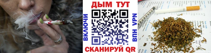 Бошки марихуана сатива  где можно купить наркотик  Железногорск 